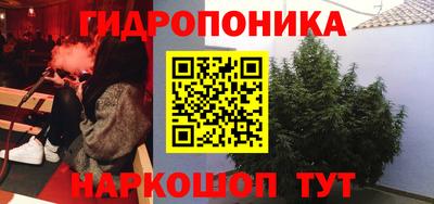 ПСИЛОЦИБИНОВЫЕ ГРИБЫ Сланцы