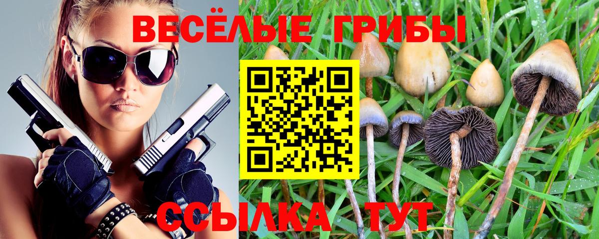 Псилоцибиновые грибы GOLDEN TEACHER Подольск