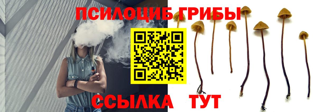 Псилоцибиновые грибы мухоморы  Вход с VPN  Подольск 
